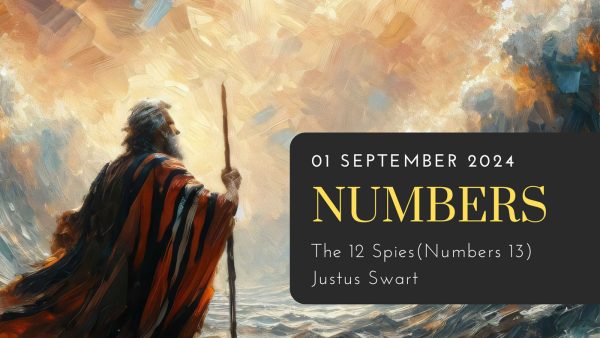 The 12 Spies (Numbers 13) cover image
