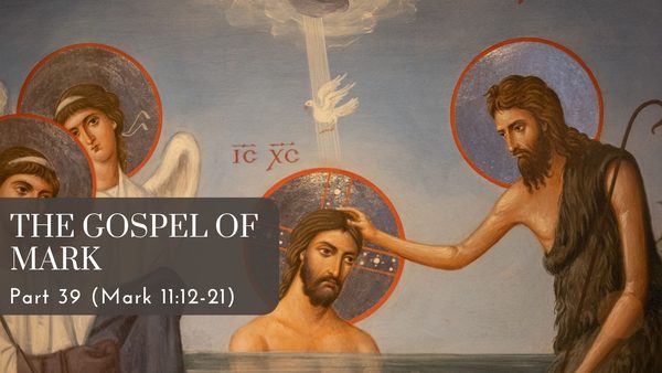 The Gospel of Mark (Part 39) cover image